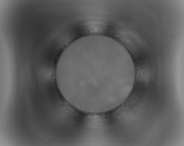 X0000111860419200908201301