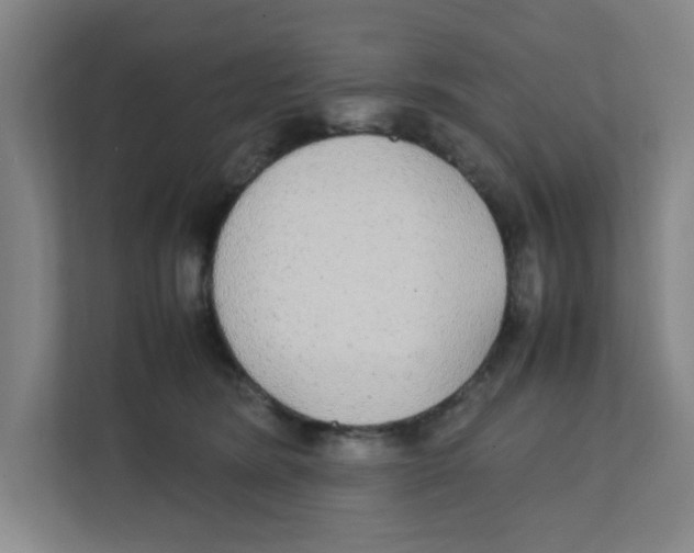 X0000111860420200908201301