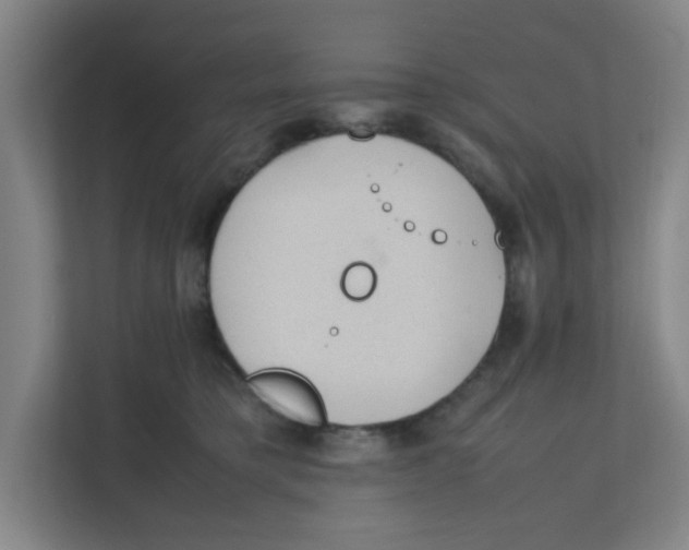 X0000111860421200908201301