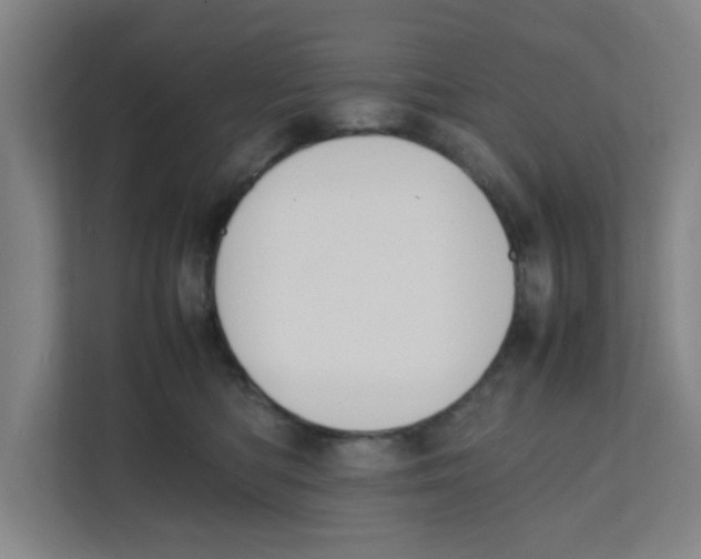 X0000111860422200908201301