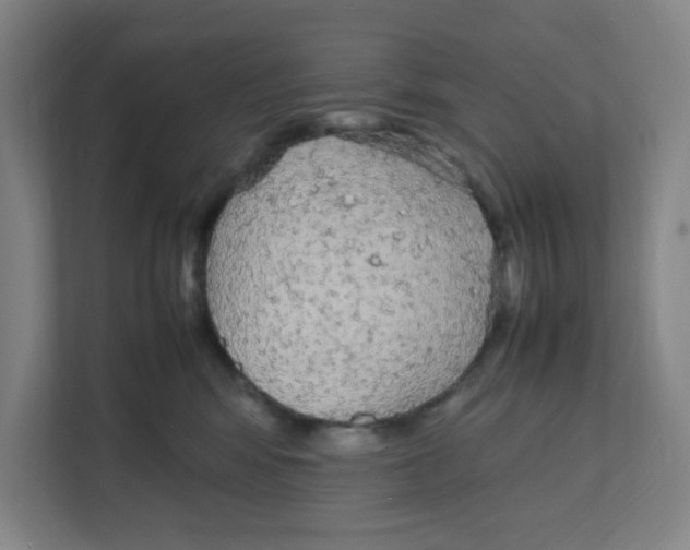 X0000111860424200908201301