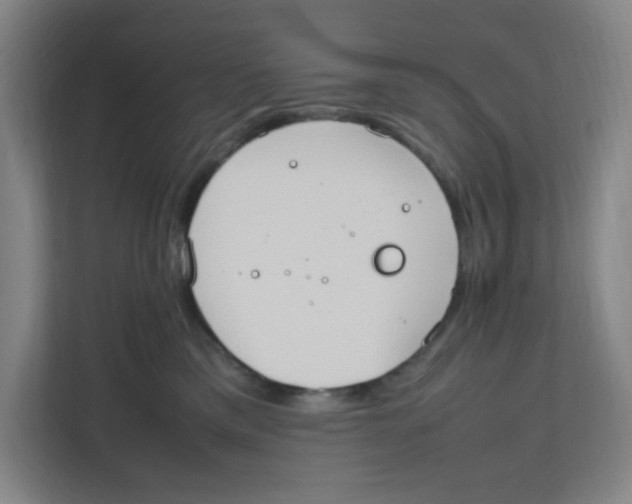 X0000111860425200908201301