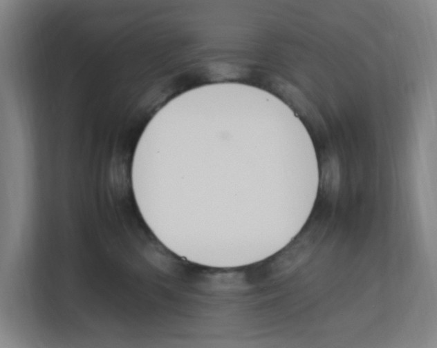 X0000111860426200908201301