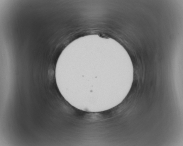 X0000111860427200908201301