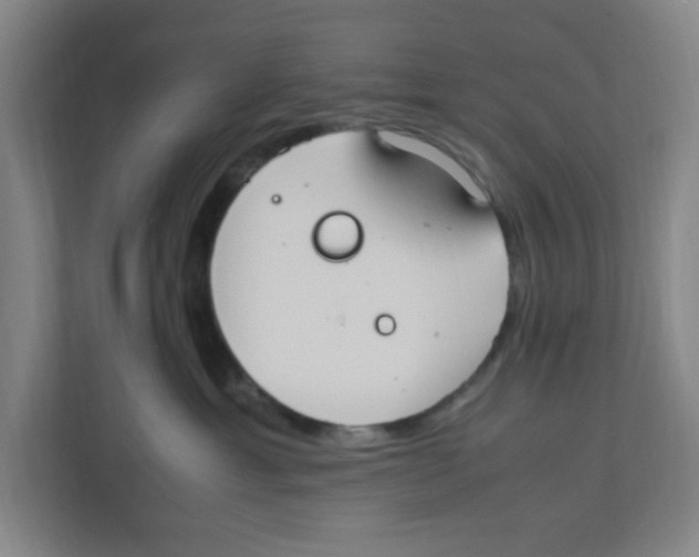 X0000111860429200908201301