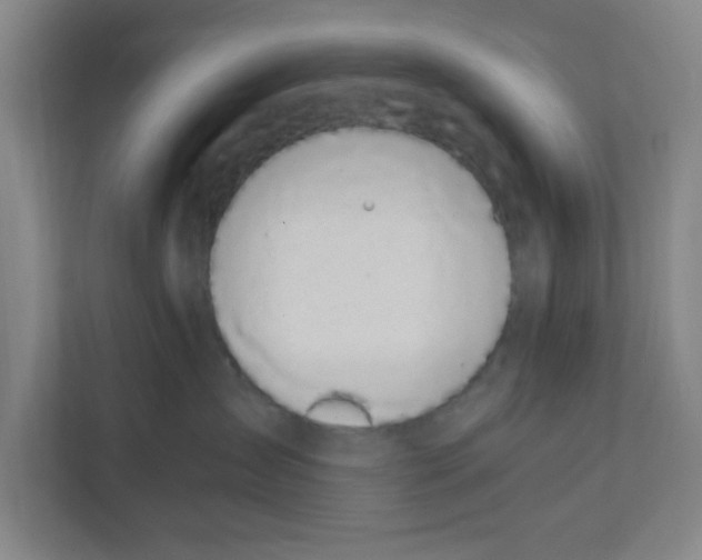 X0000111860431200908201301
