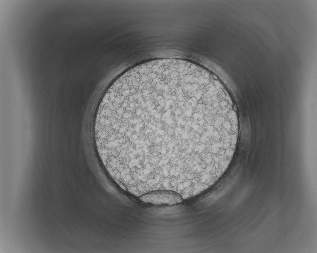 X0000111860433200908201301