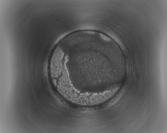 X0000111860434200908201301