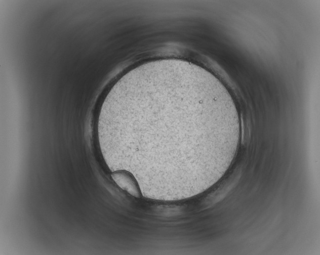 X0000111860435200908201301
