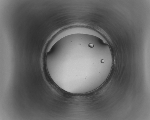 X0000111860436200908201301