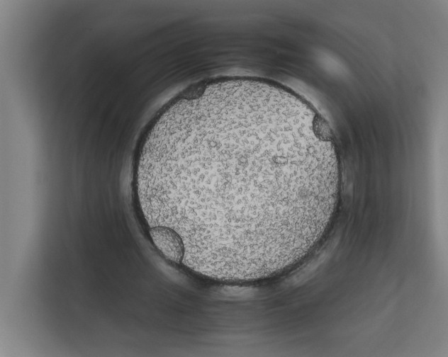 X0000111860437200908201301