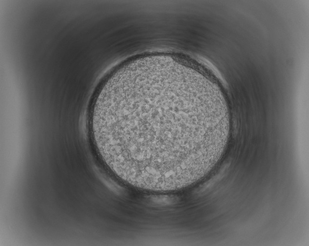 X0000111860439200908201301