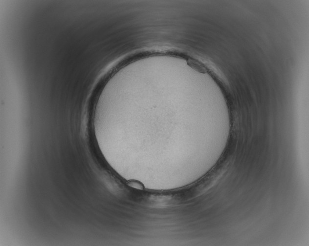 X0000111860440200908201301