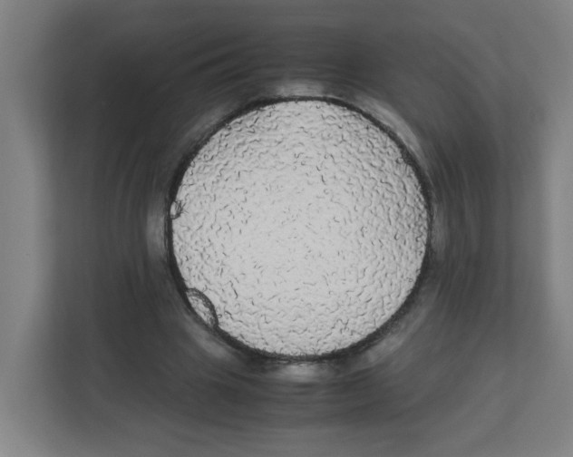 X0000111860441200908201301
