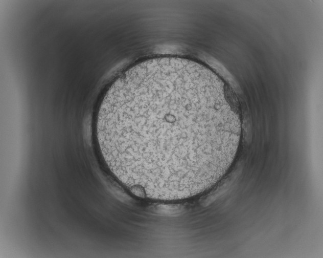 X0000111860442200908201301