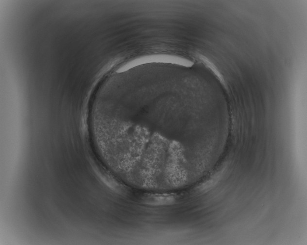 X0000111860443200908201301