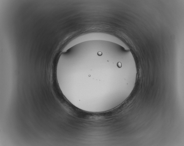 X0000111860444200908201301