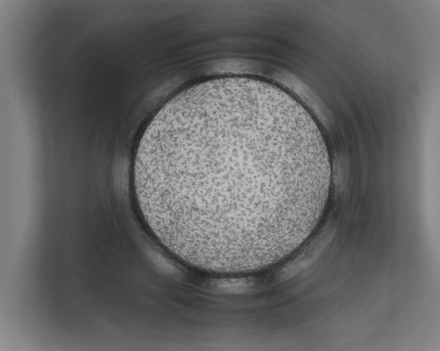 X0000111860445200908201301