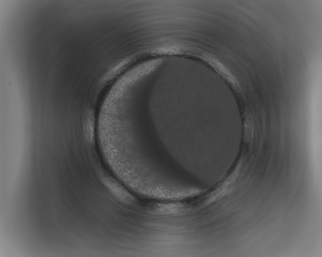 X0000111860446200908201301