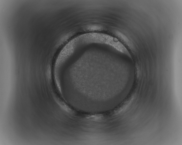 X0000111860447200908201301