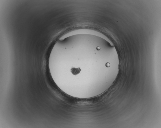 X0000111860448200908201301