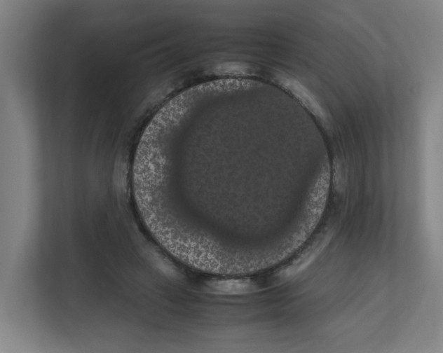 X0000111860449200908201301