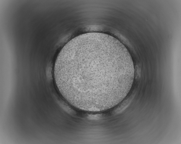 X0000111860450200908201301