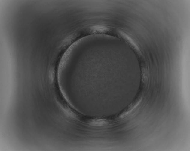 X0000111860451200908201301