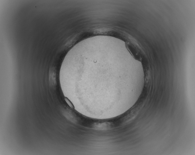 X0000111860452200908201301