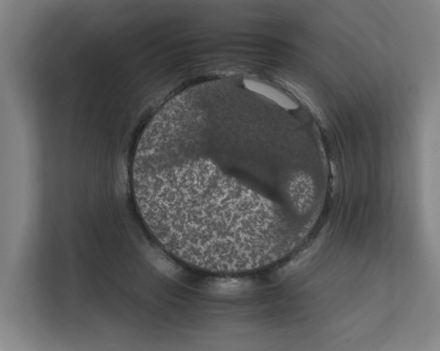 X0000111860453200908201301