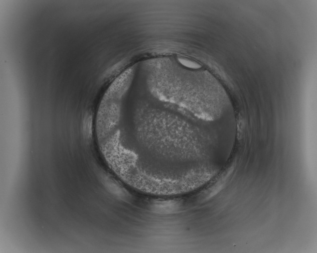 X0000111860454200908201301