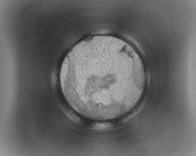 X0000111860455200908201301