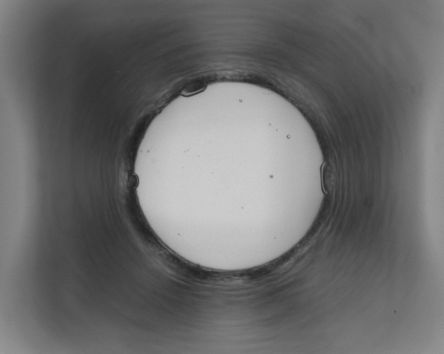 X0000111860456200908201301