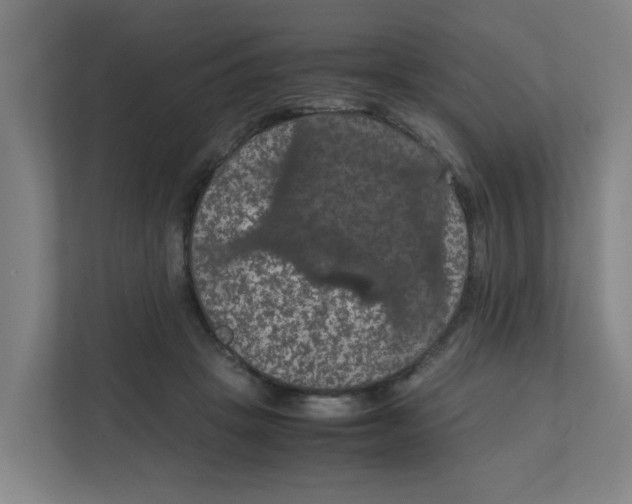X0000111860457200908201301
