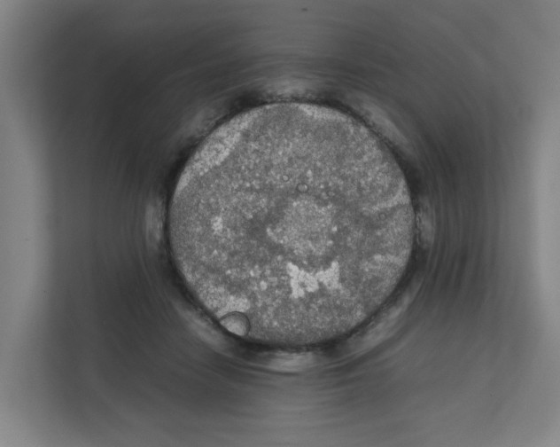 X0000111860458200908201301
