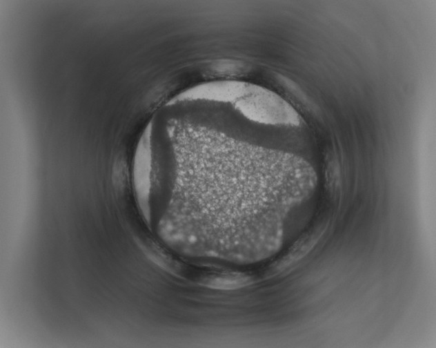X0000111860459200908201301
