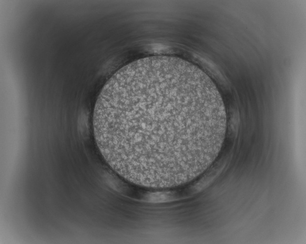 X0000111860461200908201301