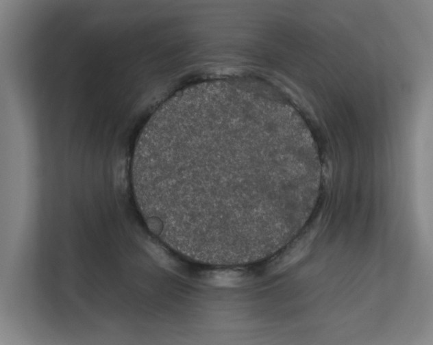 X0000111860462200908201301