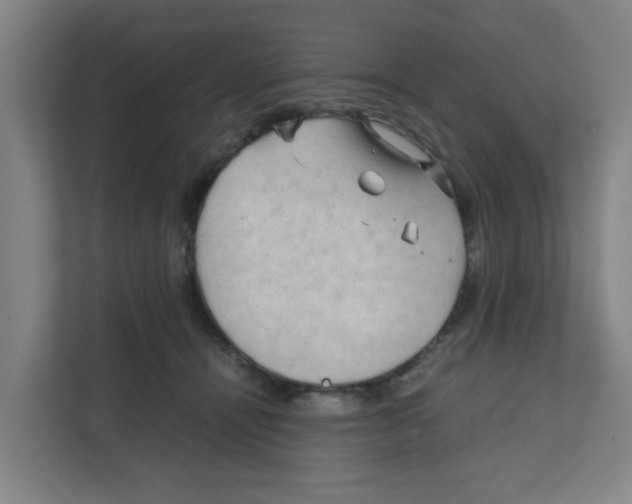 X0000111860464200908201301