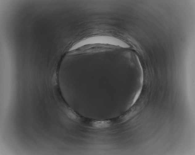 X0000111860465200908201301