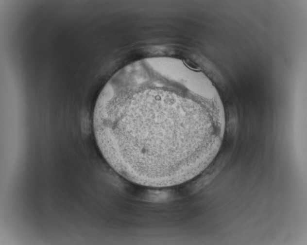 X0000111860469200908201301