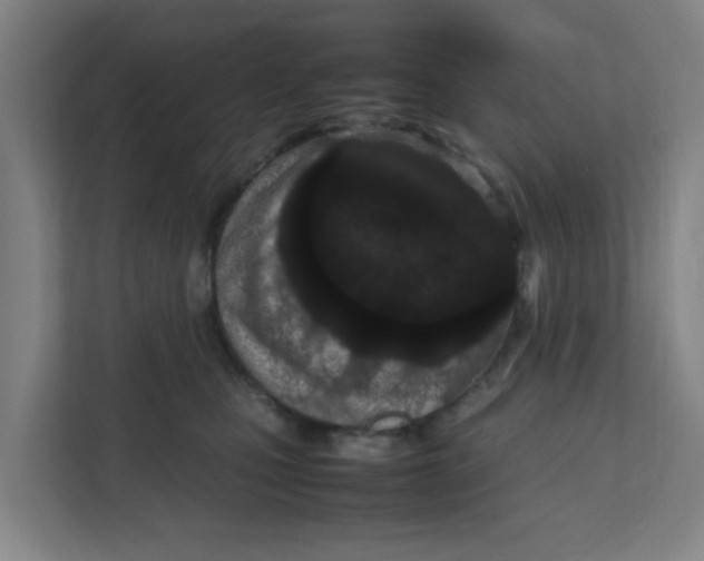 X0000111860471200908201301