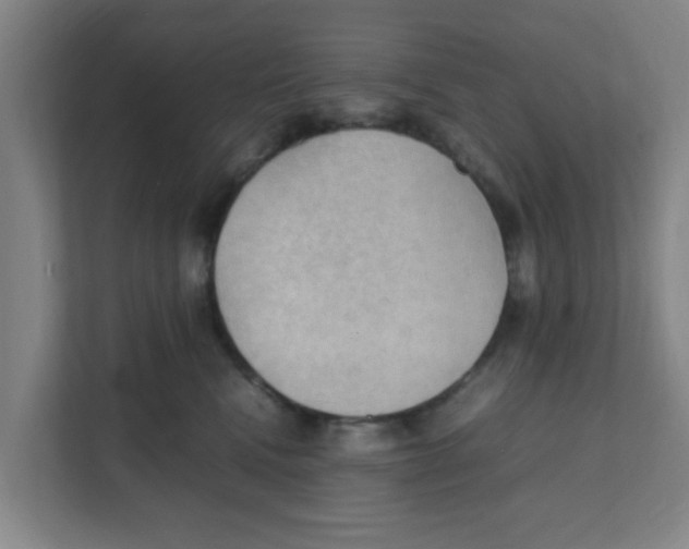 X0000111860472200908201301