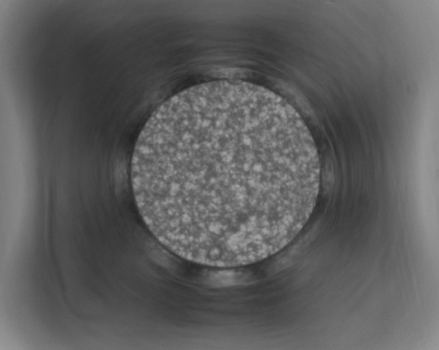 X0000111860473200908201301