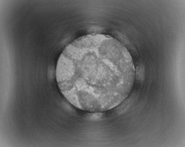 X0000111860474200908201301