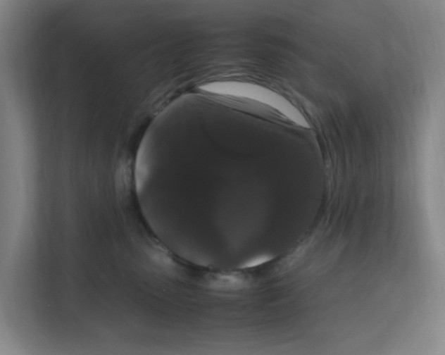 X0000111860475200908201301