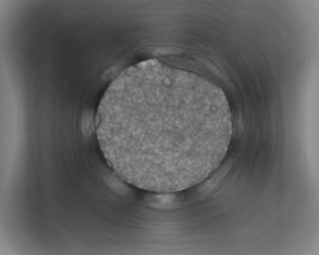 X0000111860478200908201301