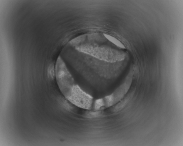 X0000111860479200908201301