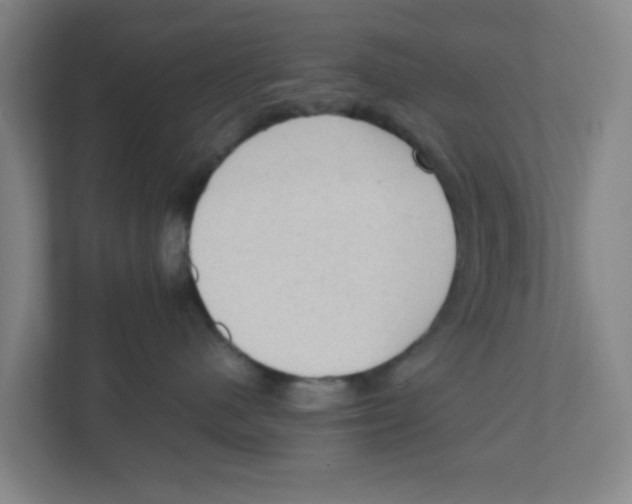 X0000111860480200908201301