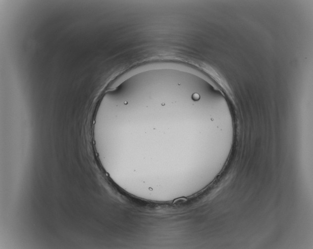 X0000111860481200908201301